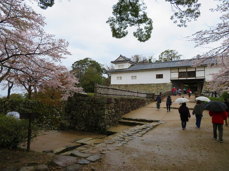 桜がきれいな彦根城(国宝)を散策20190410_e0237645_21080799.jpg