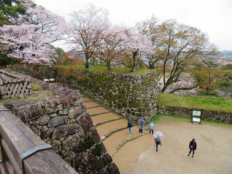 桜がきれいな彦根城(国宝)を散策20190410_e0237645_21080870.jpg