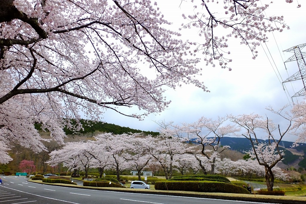 b0236251_16022571.jpg