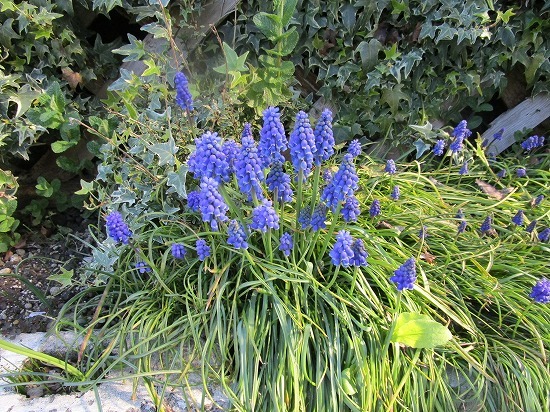 c0327752_09071579.jpg