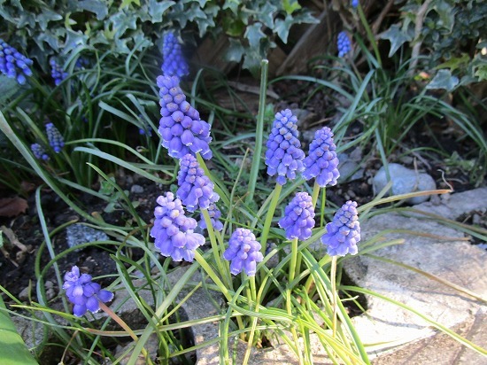c0327752_09082861.jpg