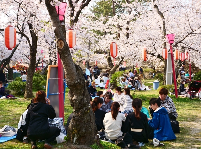 　　平成最後の桜、和歌山城　　２０１９-０４-２１　００：００ 　_b0093754_22455243.jpg