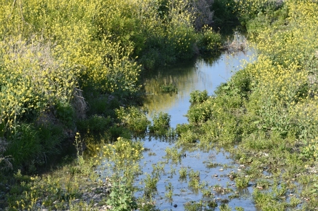 a0355356_15091388.jpg