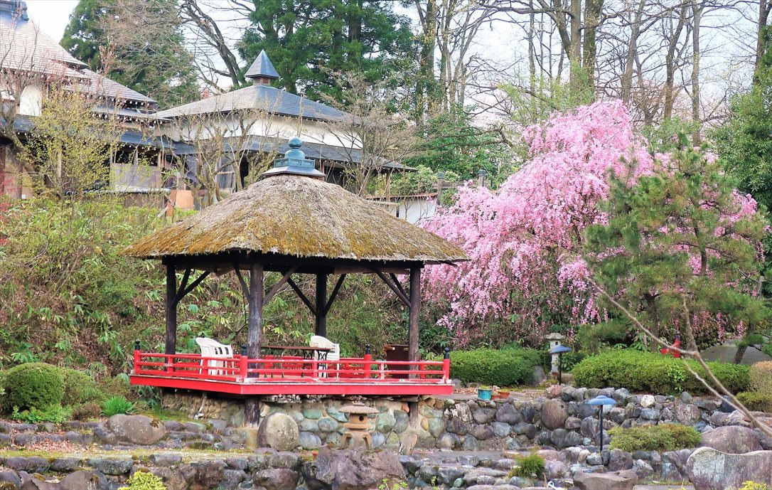 変わらぬ風景ー85　里山の桜たち～満月_b0191160_22383775.jpg