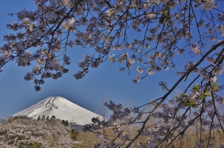 最新富士山の撮影記録_d0229560_19364482.jpg