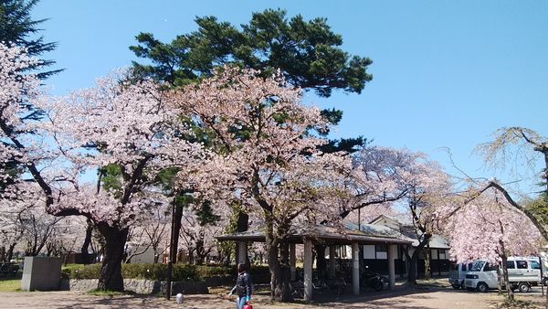 b0161371_11364804.jpg