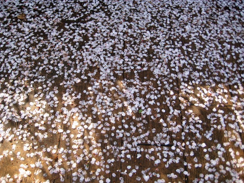 b0057679_10230319.jpg