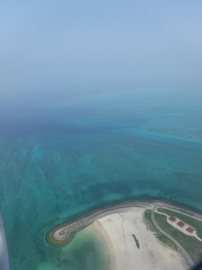 f0238779_11395086.jpg