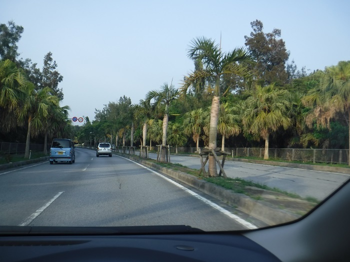 f0238779_11440414.jpg