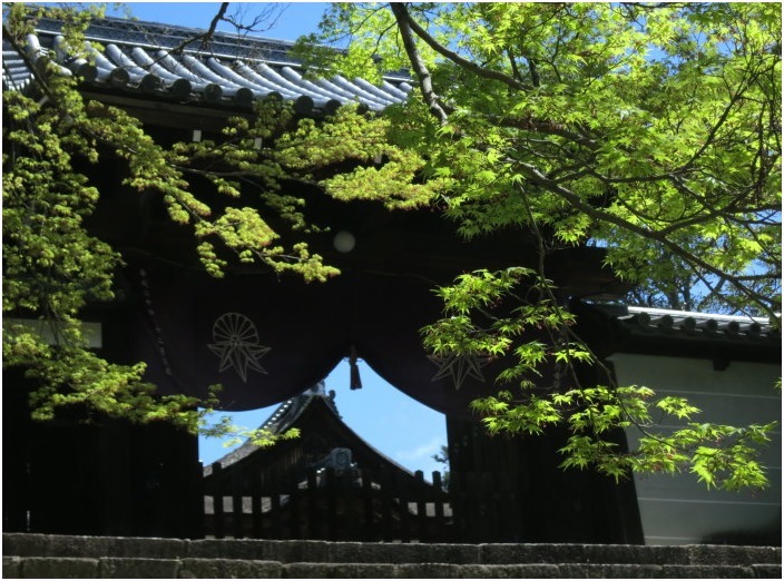 < 曼殊院 門跡 >_c0036080_21545607.jpg