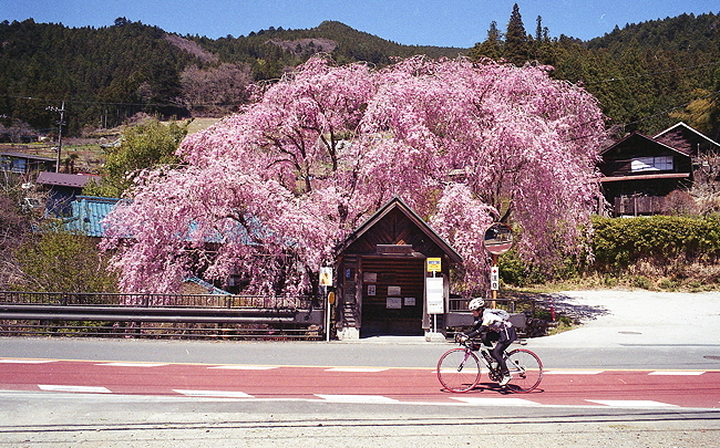 c0214494_07025311.jpg