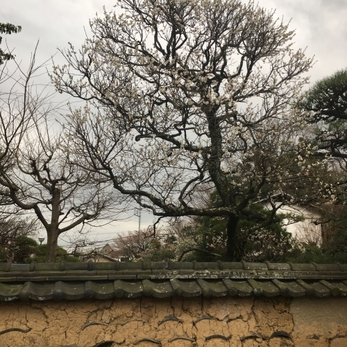 f0189196_11130808.jpeg