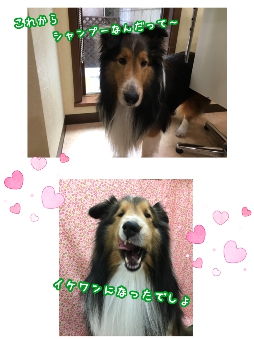 d0269898_13262819.jpeg