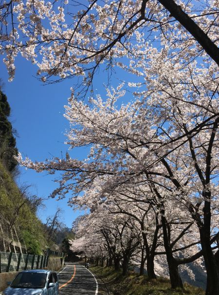 b0362900_22272986.jpg