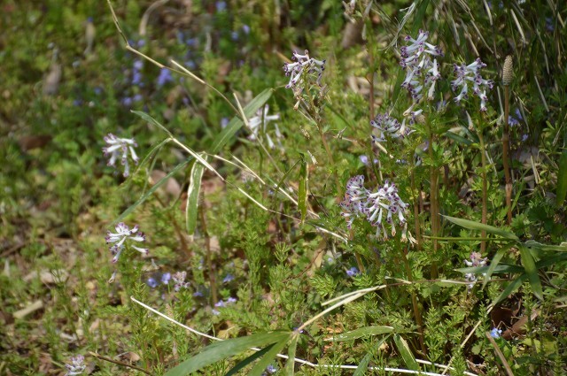 c0124100_00183932.jpg