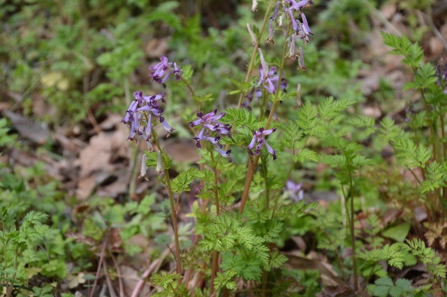 c0124100_00184499.jpg