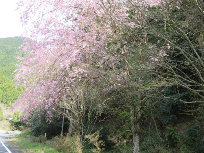 c0125501_15230040.jpg