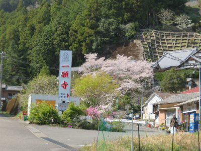 c0125501_15231749.jpg