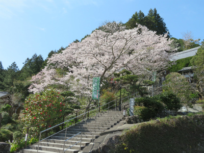 c0125501_15232415.jpg