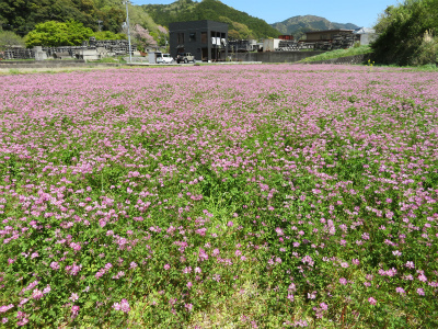 c0125501_15313128.jpg
