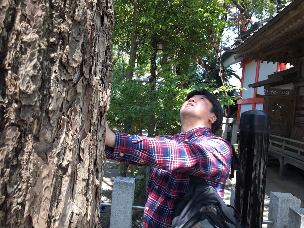 田無神社がすごかった_c0192202_22301497.jpg