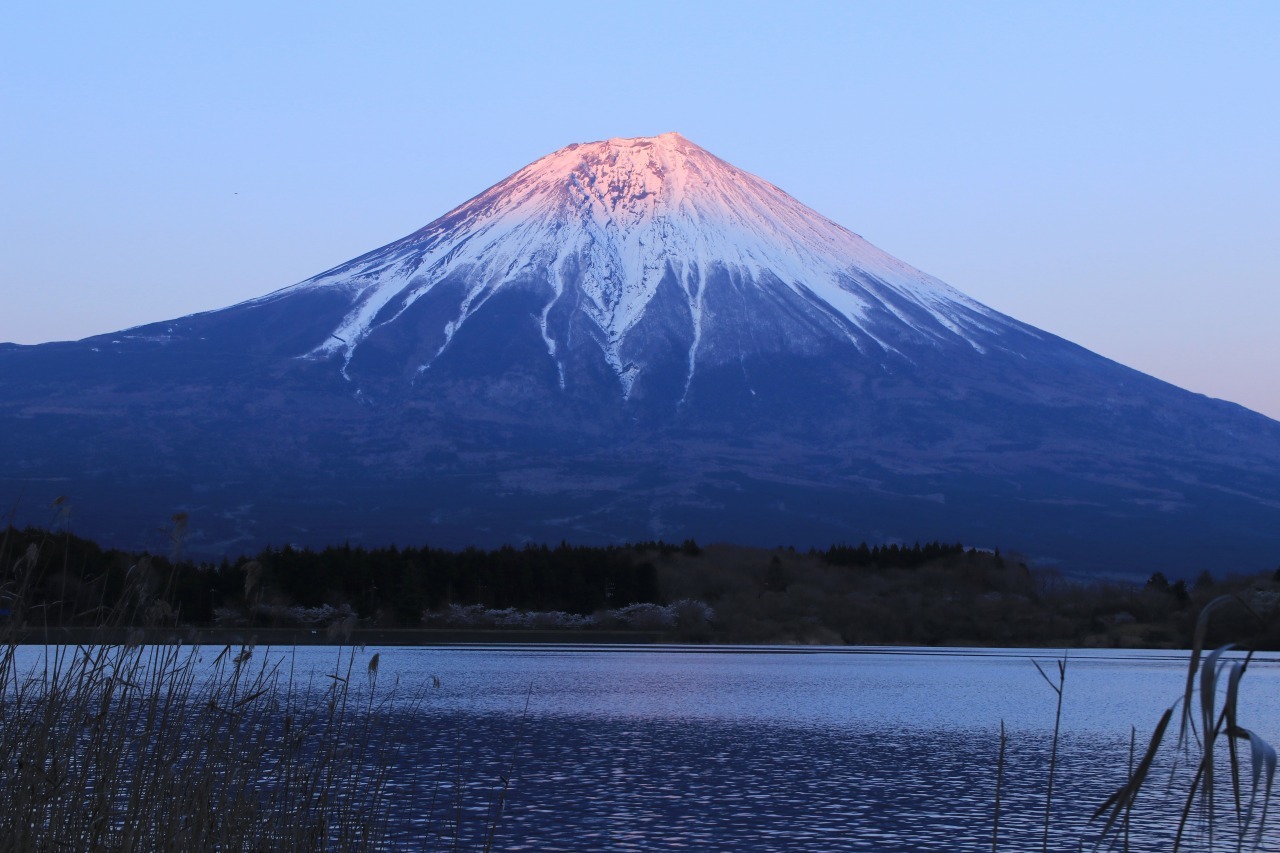 a0188405_20211110.jpg