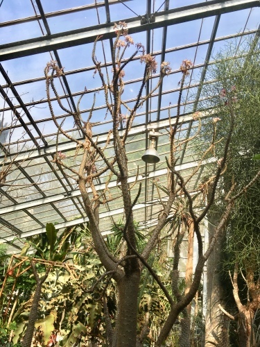d0179410_09164877.jpeg