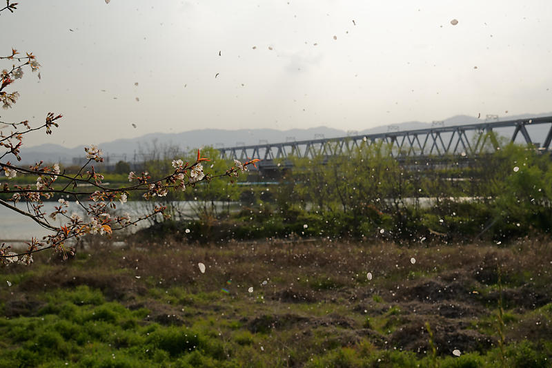 f0032011_20171990.jpg
