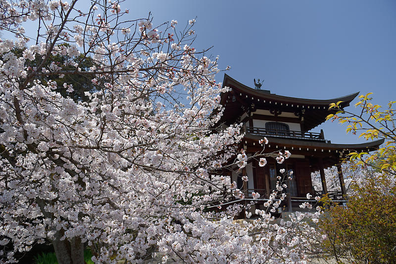 f0032011_21262715.jpg