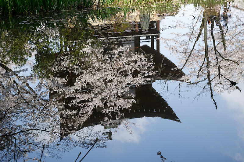 f0032011_21344486.jpg