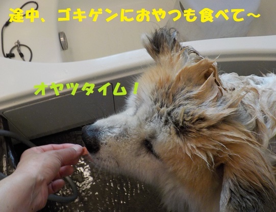 f0121712_00565553.jpg