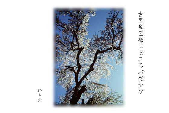 花曇り その ゆきおのフォト俳句 花曇り その ゆきおのフォト俳句