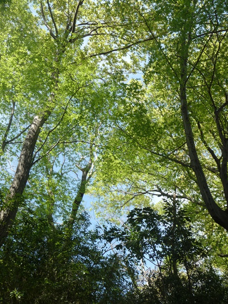 c0202113_1604336.jpg