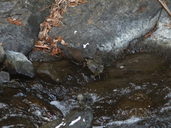 d0346713_08585647.jpg