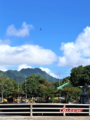e0158121_11141236.jpg