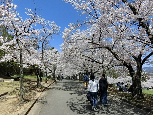 e0234924_17185742.jpg