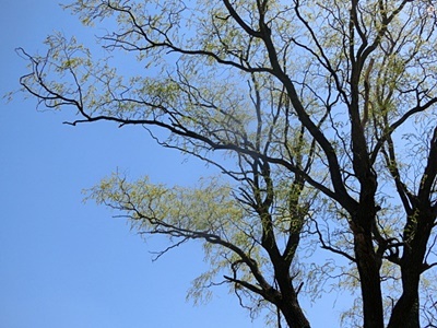 e0234924_17253811.jpg