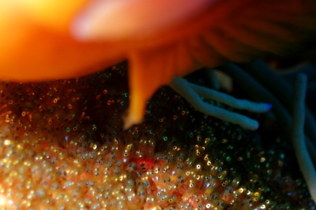 19.4.19 最高の好天・海況に恵まれて!_b0100730_19580684.jpg