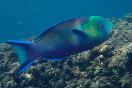 19.4.19 最高の好天・海況に恵まれて!_b0100730_20083981.jpg