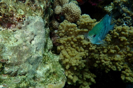 １９．４．１９　最高の好天・海況に恵まれて！_b0100730_21315052.jpg