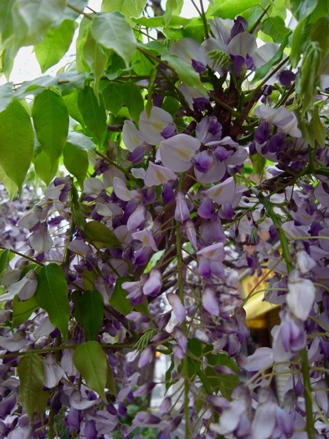 d0350542_08505171.jpg