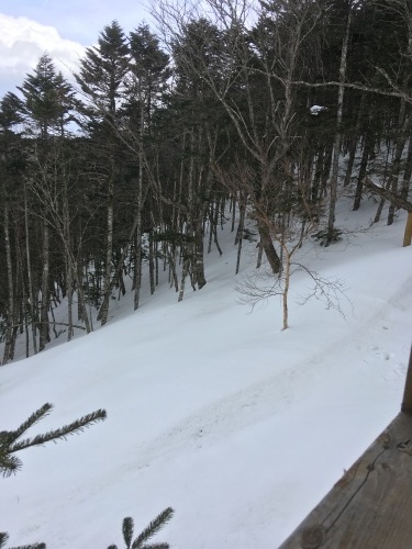 今現在の状況_c0369344_11440019.jpeg