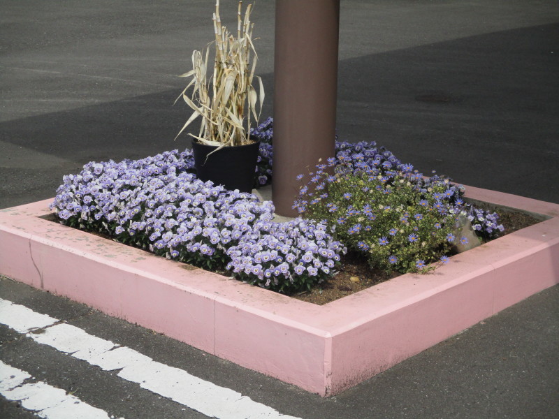 バス停から日の出さくらまでの道のり_d0371544_15243639.jpg