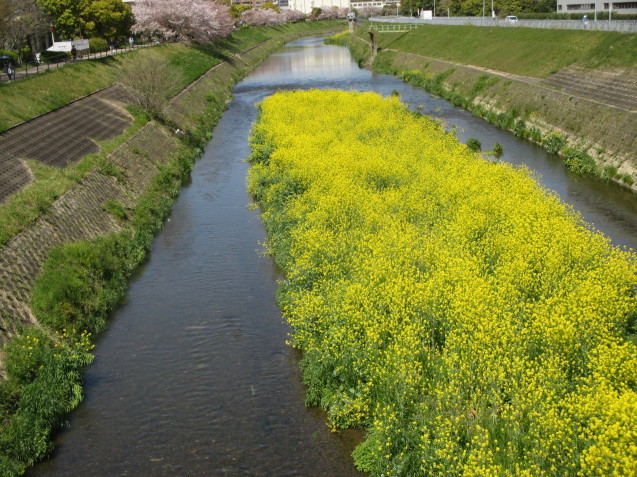 a0307846_12465245.jpg