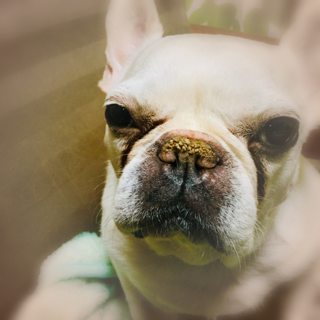 b0182850_23062835.jpeg
