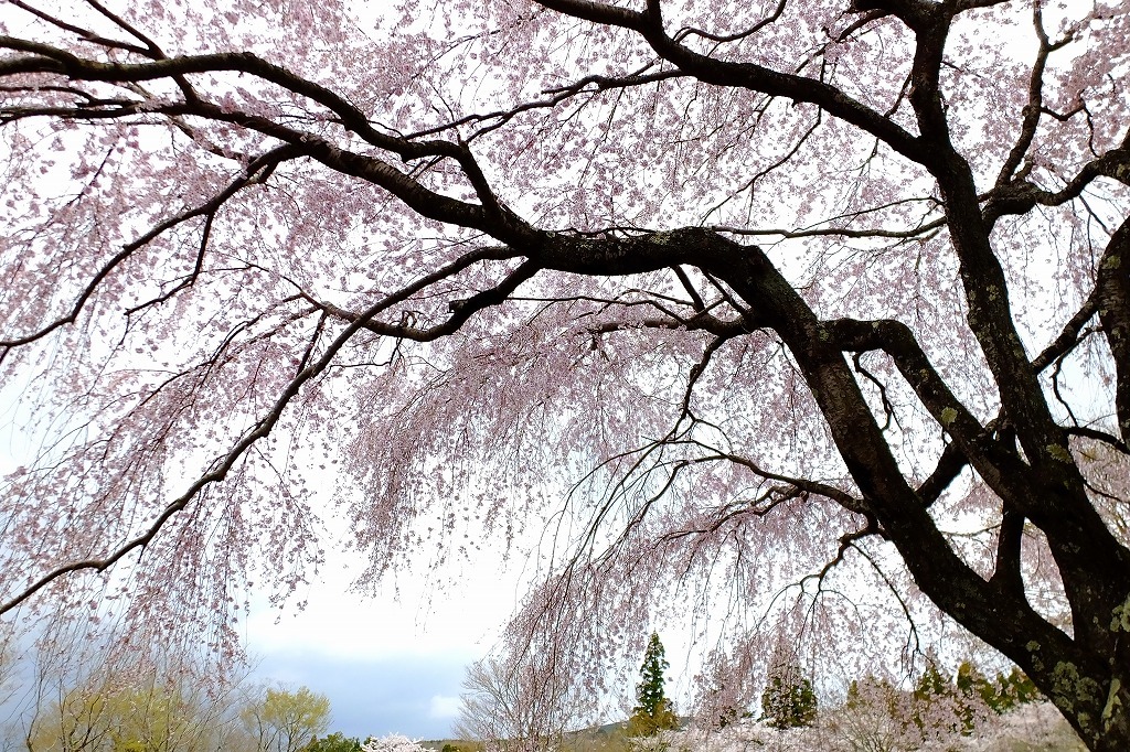 b0236251_12052920.jpg