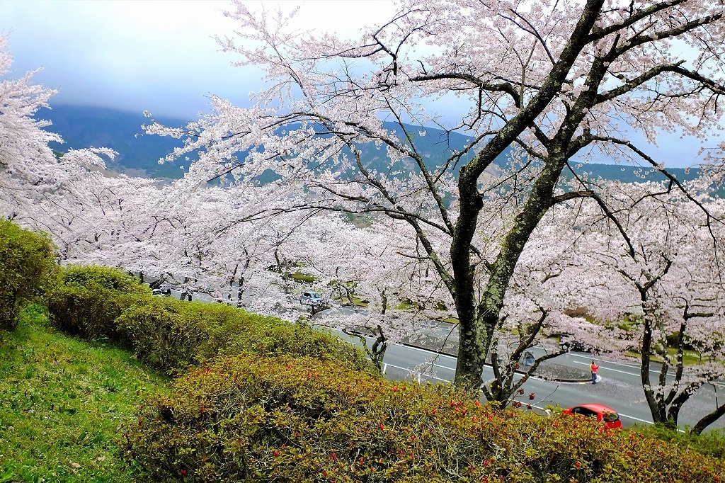 b0236251_12155464.jpg
