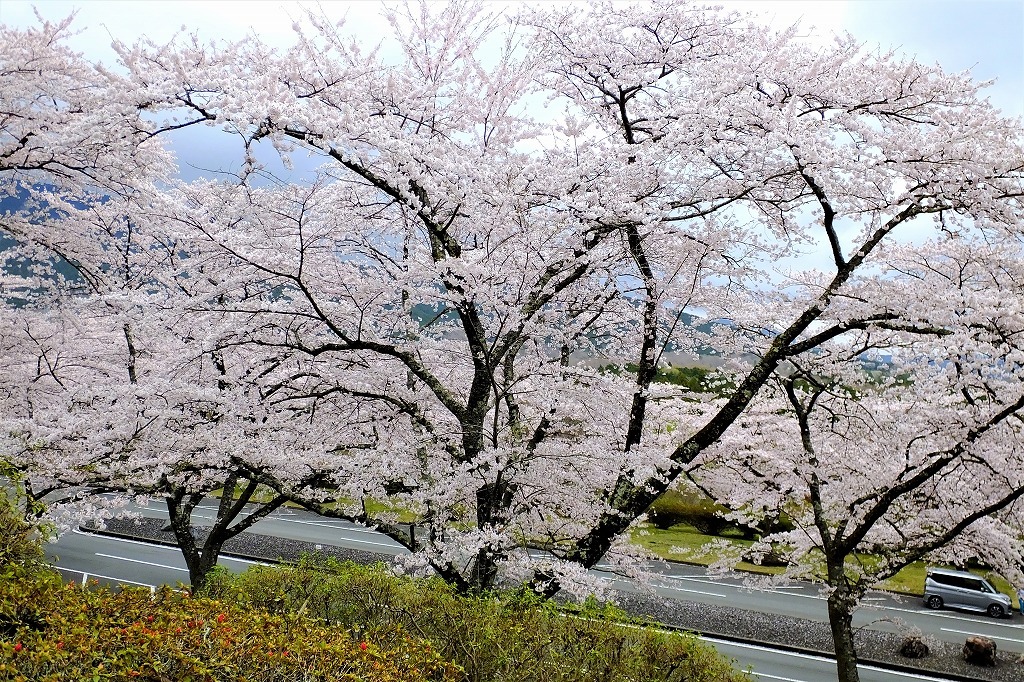 b0236251_12155974.jpg