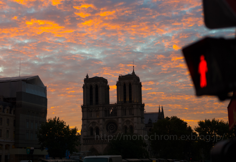 Cathédrale Notre-Dame de Paris 2013 Autumn_c0219256_06024241.jpg