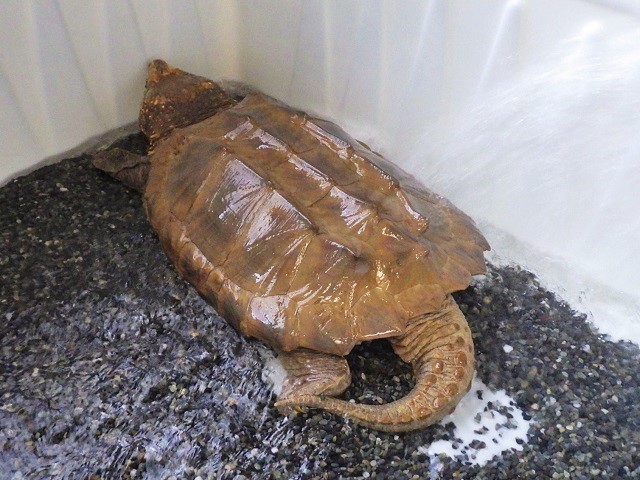 c0105569_00543114.jpg